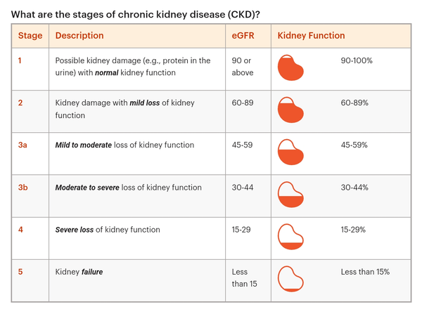 Stages of Kidney Disease - kidney.org