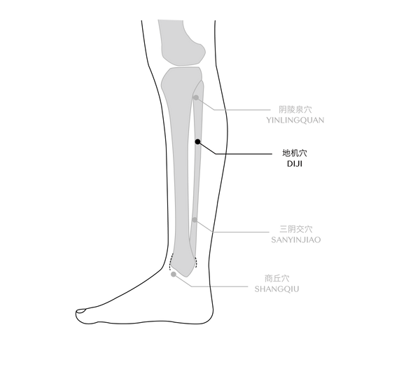 sp8 acupressure point