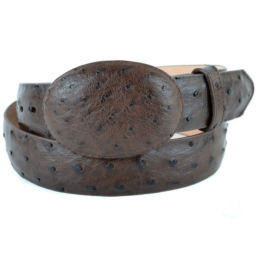 Black Ostrich Leather Belt 1