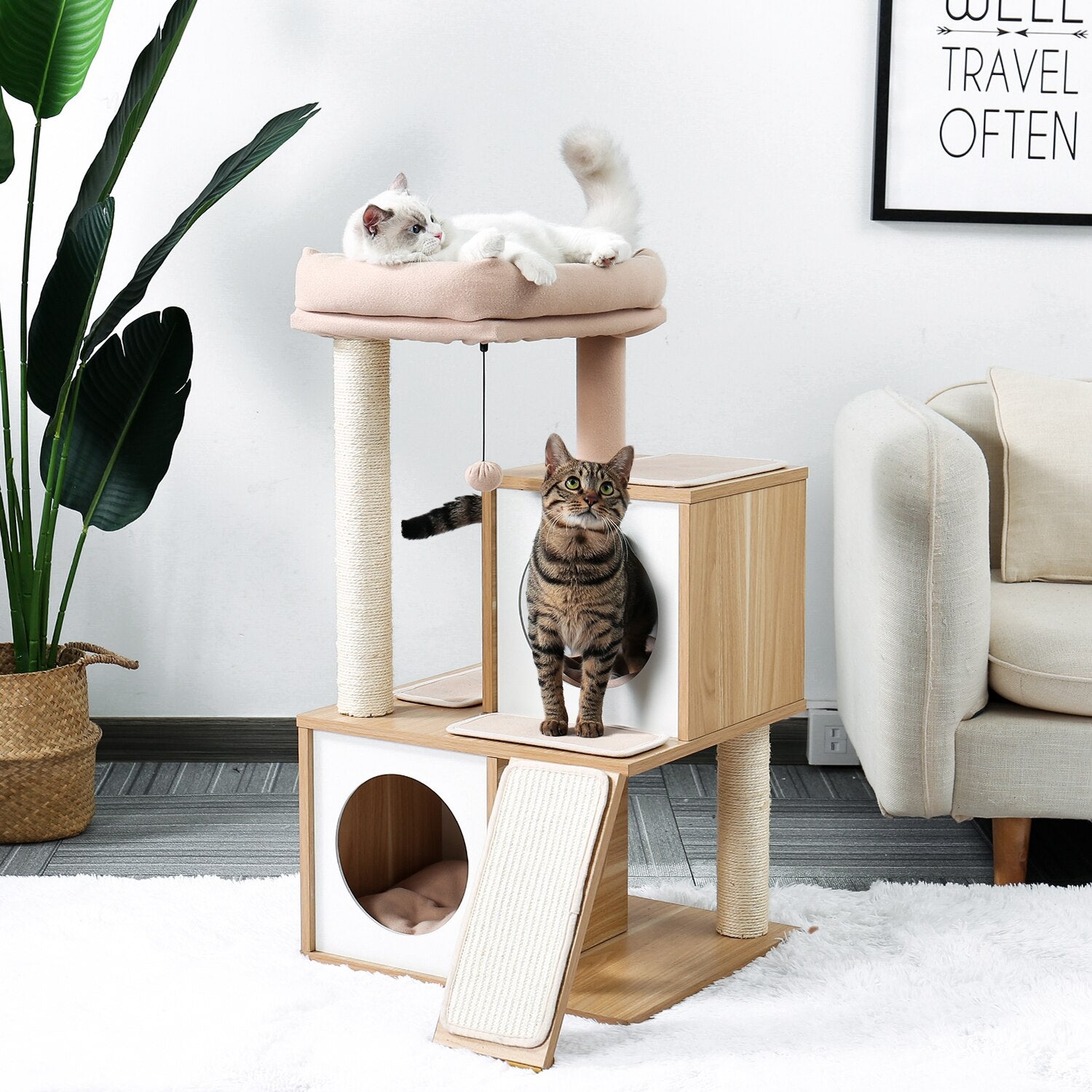 The Cat's Meow Motel