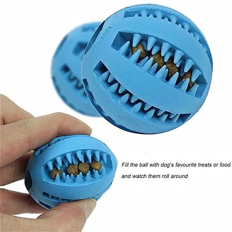 Interactive Elastic Dog Ball Toy