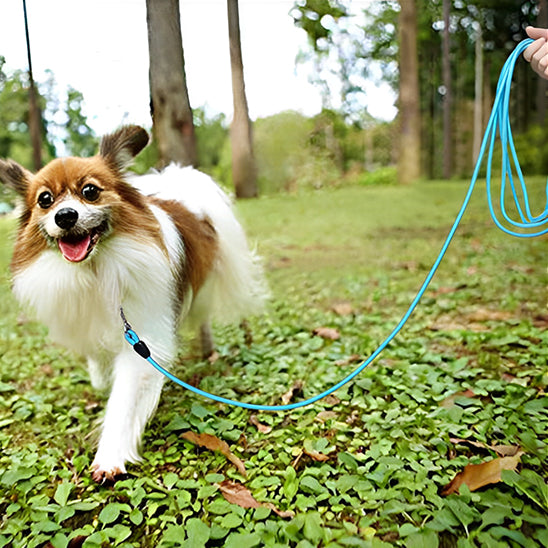 🐕Laisse pour chien idéale : confort, contrôle et liberté   Découvrez notre laisse pour chien conçue pour offrir une expérience de promenade incomparable.