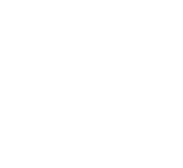 MOUNTAIN RESEARCH