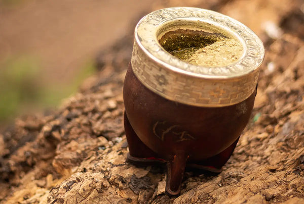 Mate reposando sobre un tronco de árbol