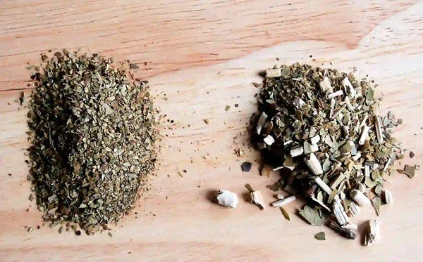 Yerba mate con palo y sin palo a granel