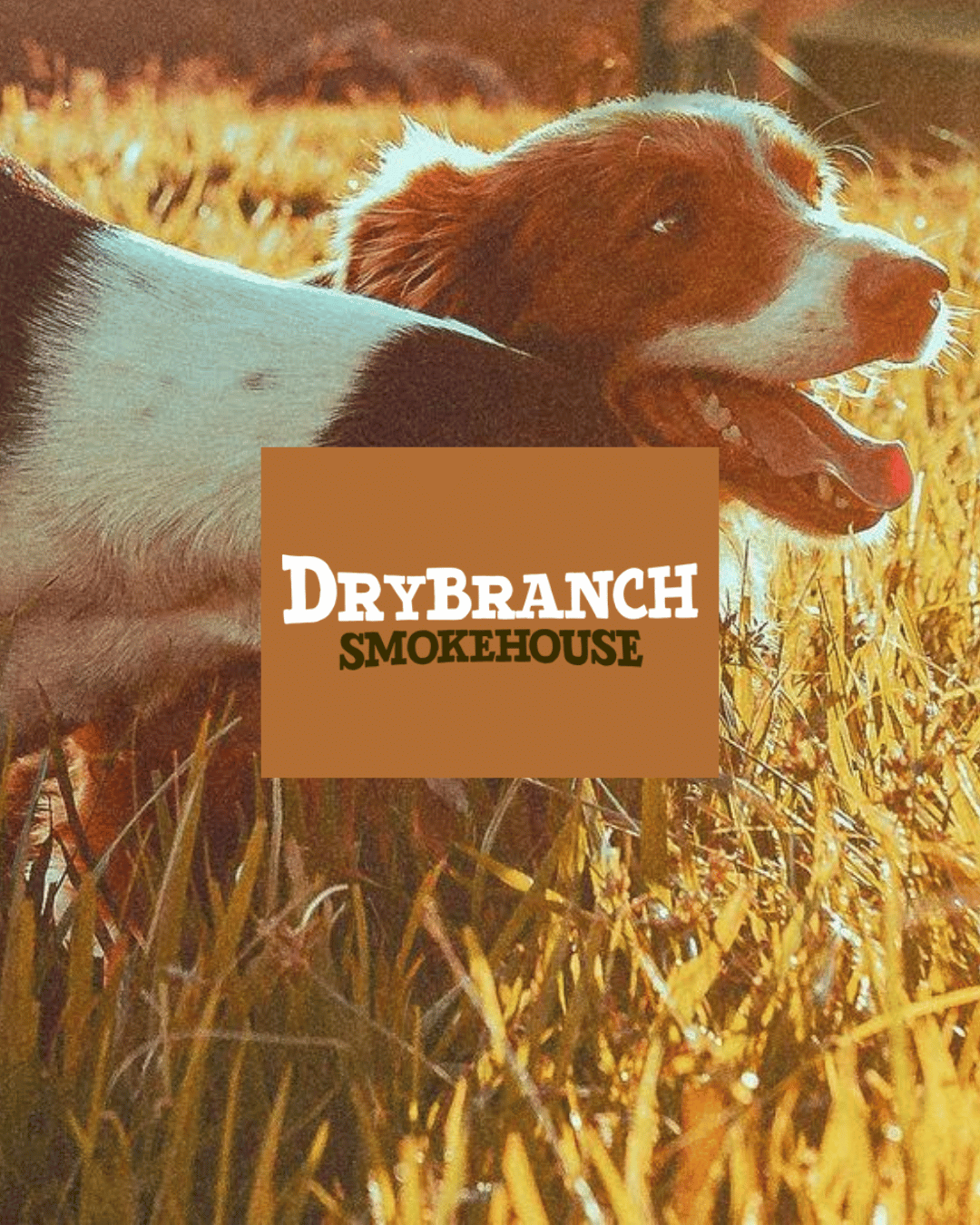 Drybranch Smokehose