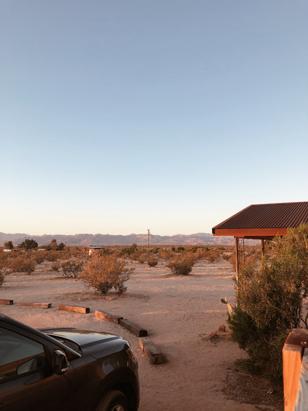 SUV in Joshua Tree