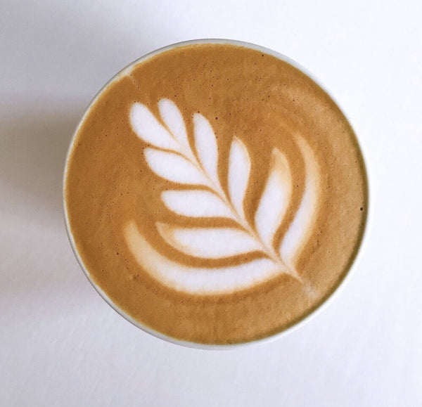 rosetta tulip latte art