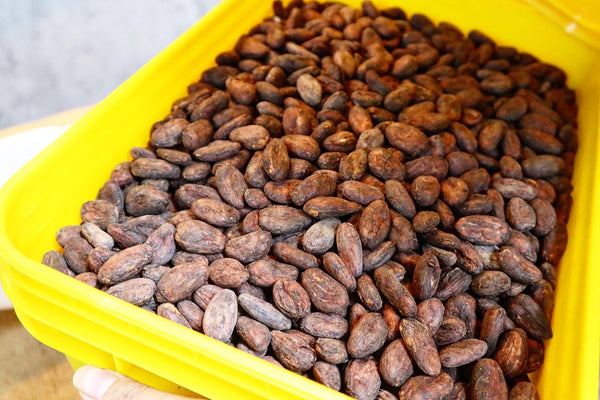 Defect free cocoa beans 