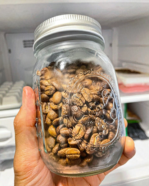 freeze coffee beans 