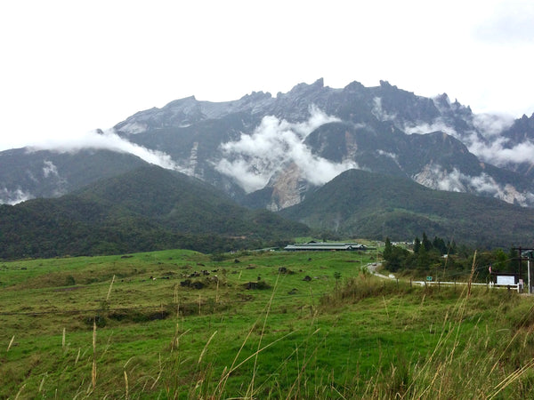 desa dairy kinabalu