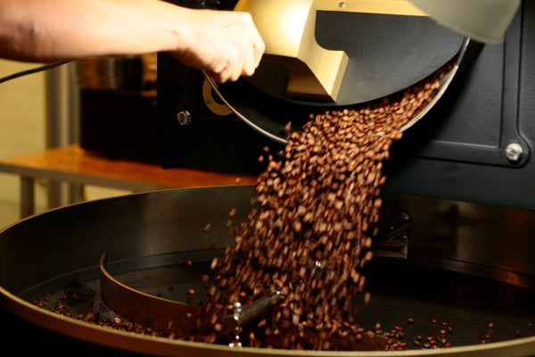 freshly roasted coffee beans