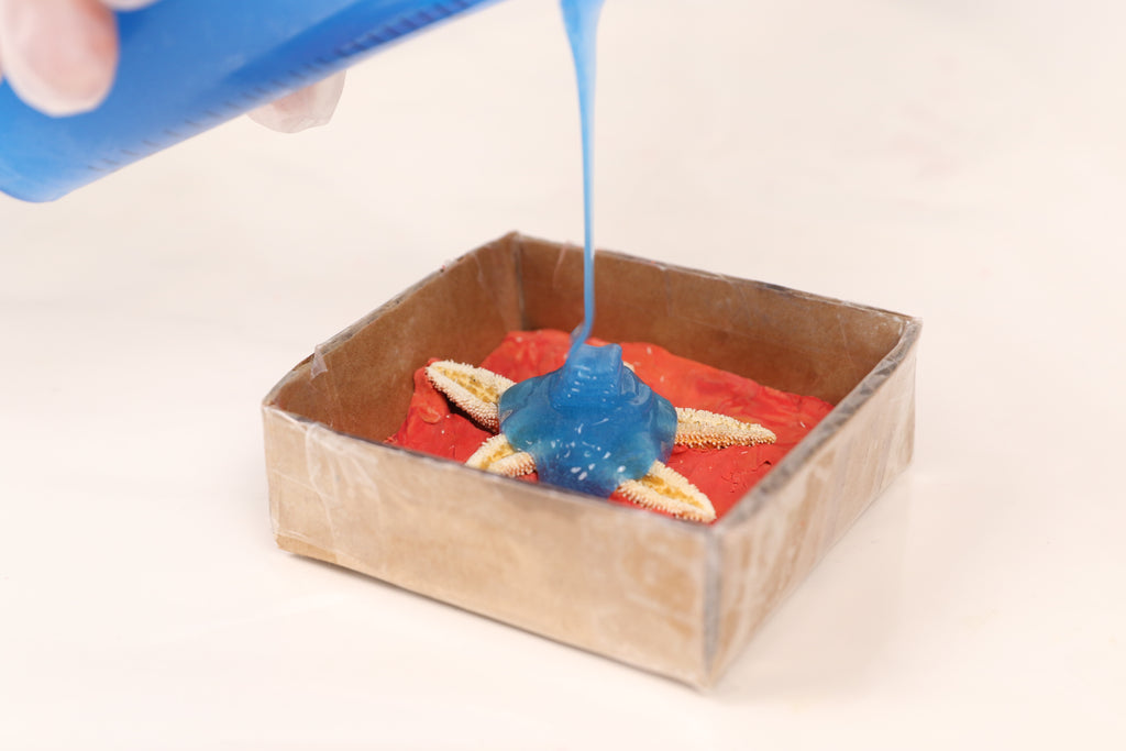 How To Copy A Starfish: Pour the Mold Making Material mixture over the entire half of your object