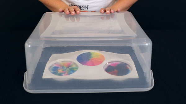 Petri Dish Art - cover your mold and leave it to cure overnight