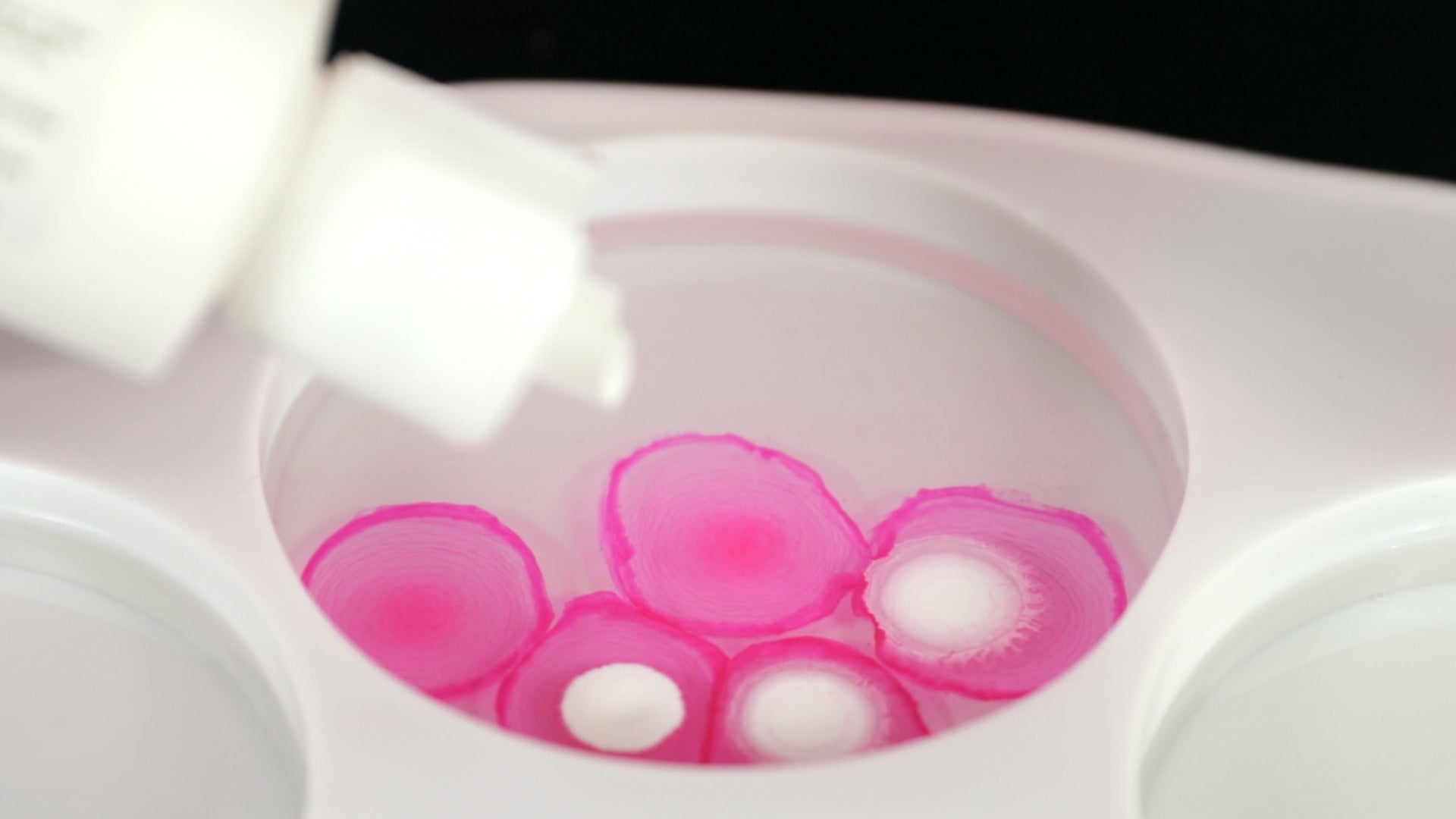 alcohol ink drops to make petri dish coasters