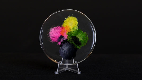 Petri Dish Art - Let your epoxy begin to set
