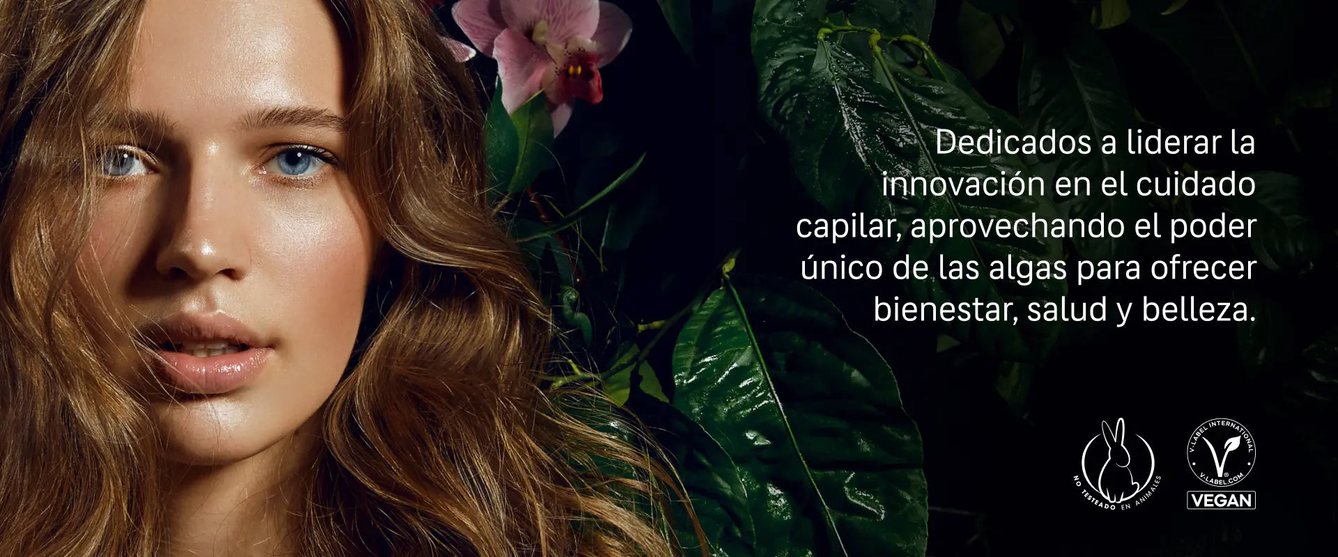 Filosofía Marina Vital