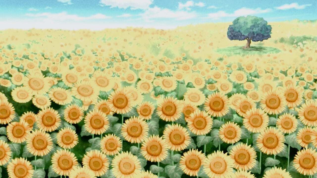 dressrosa flower field one piece