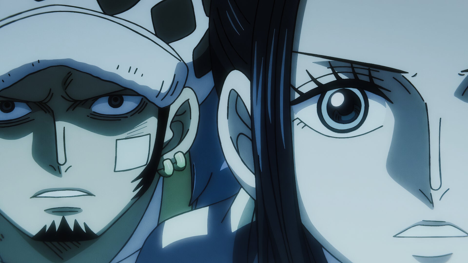 nico robin trafalgar law one piece