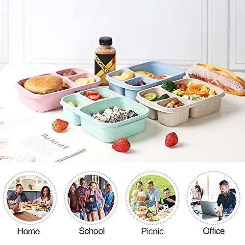 Puraville Stainless Steel Bento Lunch Box for Kids and Adults –  lookingGLASS Lifestyle