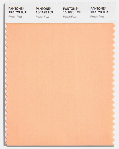 Pantone's Colour of the Year - Peach Fuzz