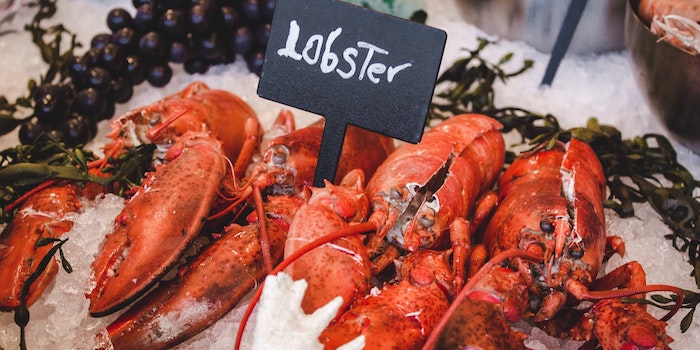 The Ultimate Lobster Guide: 20 Best Lobster Places