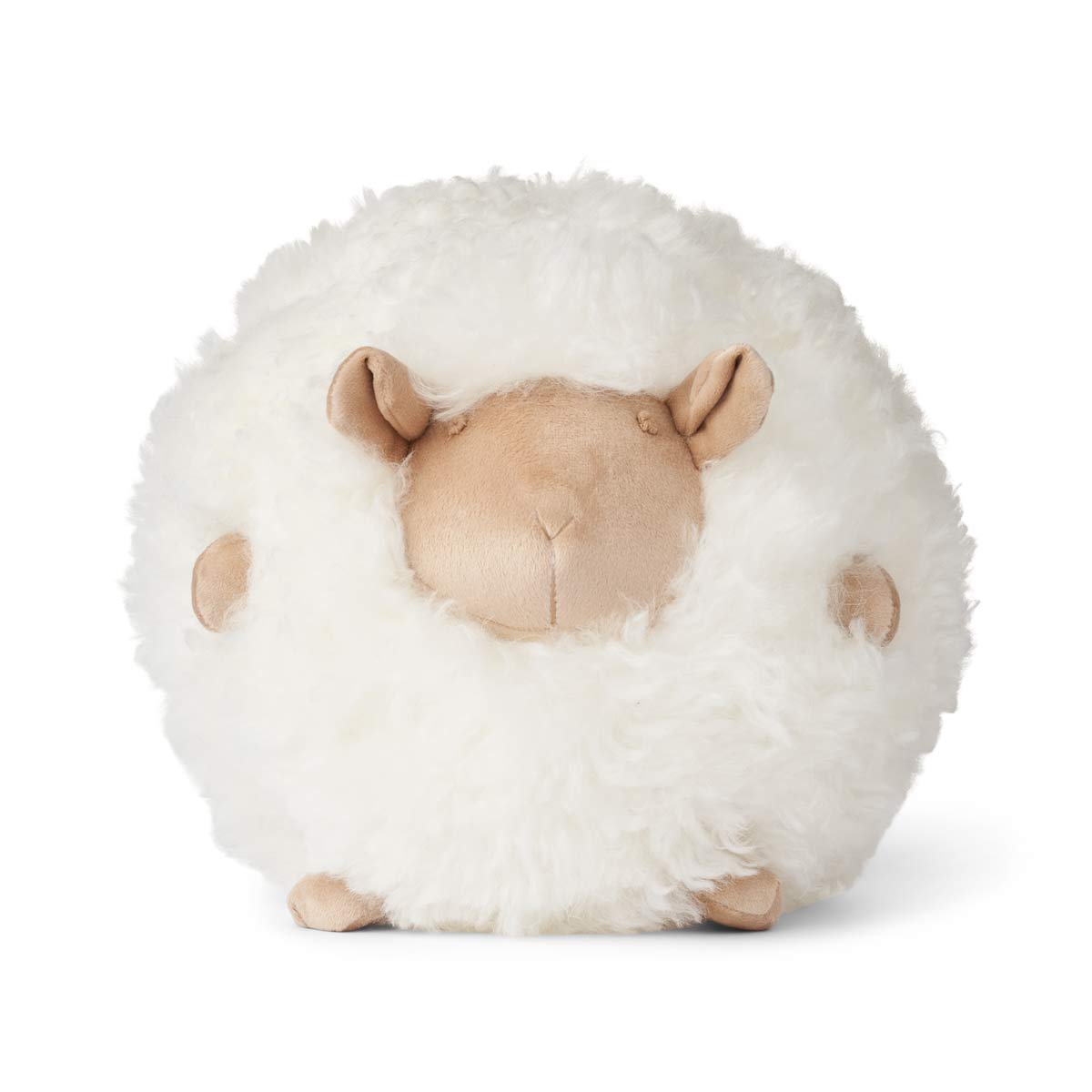 Billede af Cute Sheep | New Zealandsk Lammeskind