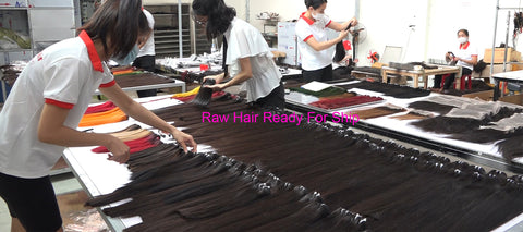 Raw human Hair Bundles