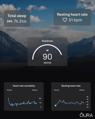 Some of my seep statistics provided by my Oura Ring on October 20th 2022.