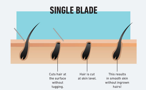 Single Blade Graphic of Hair Follicles