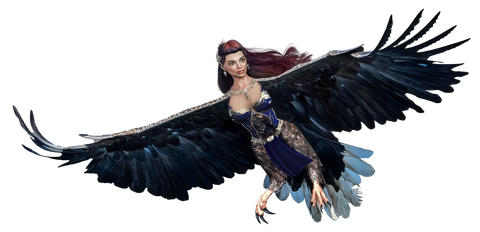 A fantasy harpy flying, with the body of a bird and a woman's head