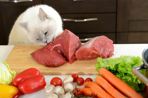 Foods poisonous to cats