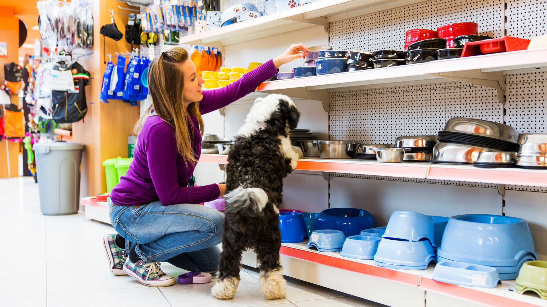 shopping with furry friends in pet stores