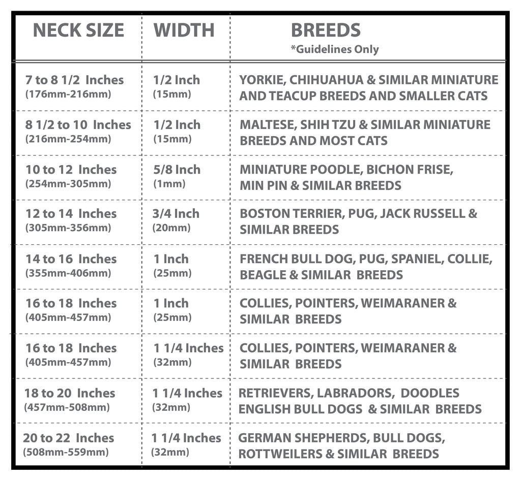 Divine Dog Size Chart by Breed