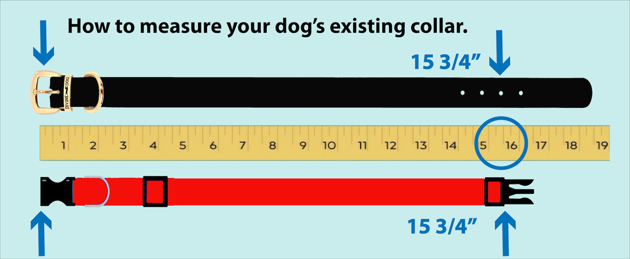 How do I measure my dog for a collar?