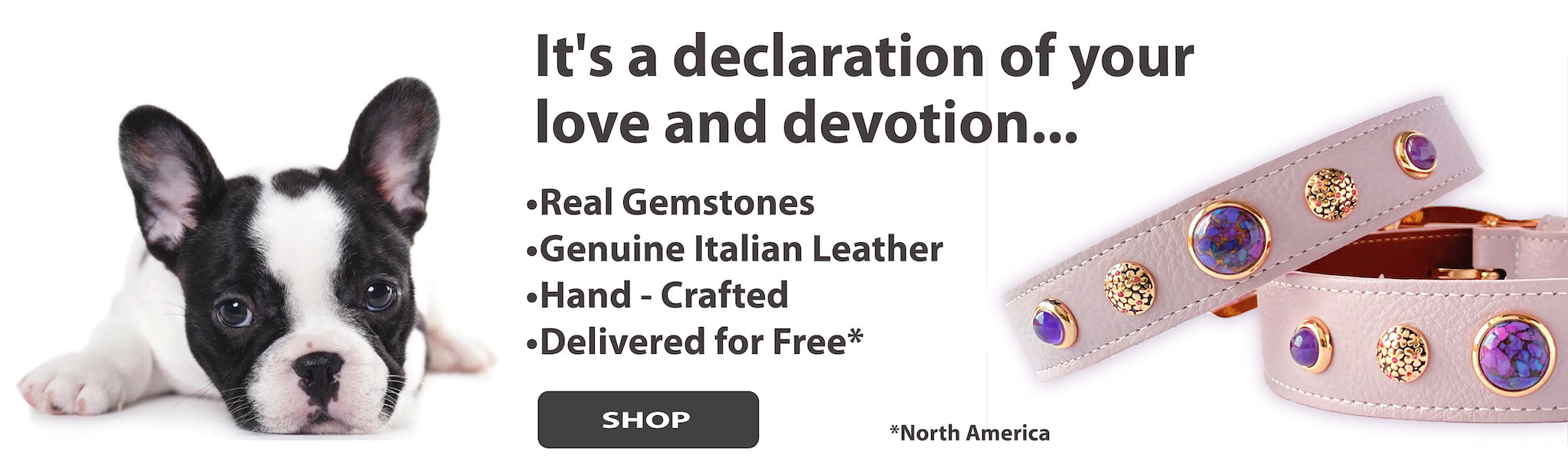 Why buy a gemstone collar for your dog?  It's a declaration of your love and devotion.