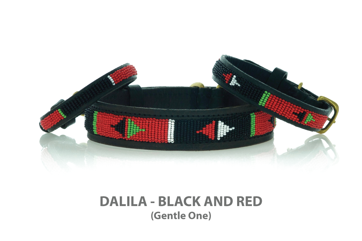 Dog Collars and Dog Leashes, beaded by Maasai Women - KENYA COLLARS – Divine Dog