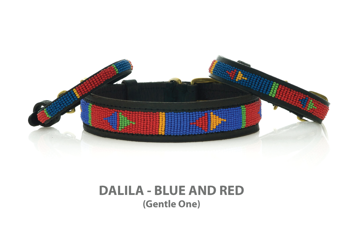 Dog Collars and Dog Leashes, beaded by Maasai Women - KENYA COLLARS – Hot-Diggity-Dog