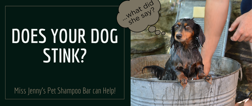 All-Natural Pet Shampoo Bar | Gentle Dog Shampoo and Cat Shampoo Bars | Natural Shampoo Bar for Animals | Handmade Gift for Dog Lovers