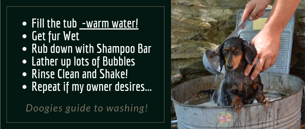All-Natural Pet Shampoo Bar | Gentle Dog Shampoo and Cat Shampoo Bars | Natural Shampoo Bar for Animals | Handmade Gift for Dog Lovers