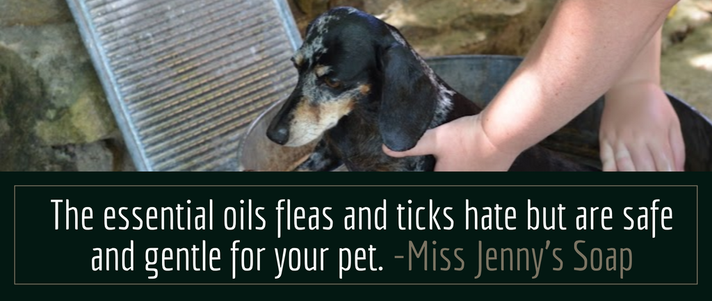 The essential oils fleas and ticks hate but are safe and gentle for your pet.