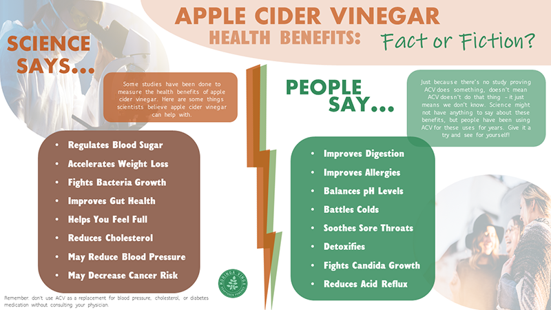 Image result for 10 Key Benefits of Apple Cider Vinegar infographics