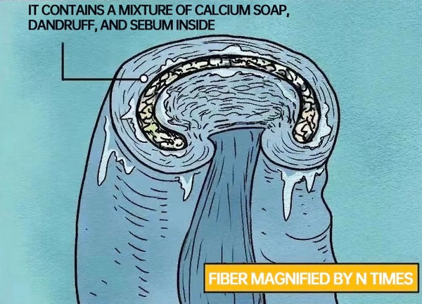 Fiber magnified by N times that absorbed various substance