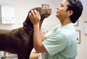 perro-con-veterinario2