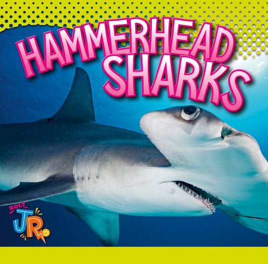 Sharks (Usborne Lift-the-Flap Learners) - Clarke, Phil: 9780794511098 -  AbeBooks