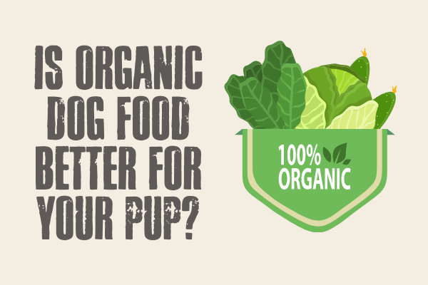 what is organic dog food