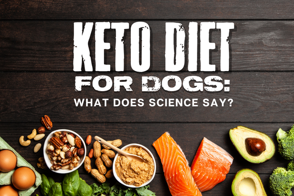 what is a ketogenic diet for dogs