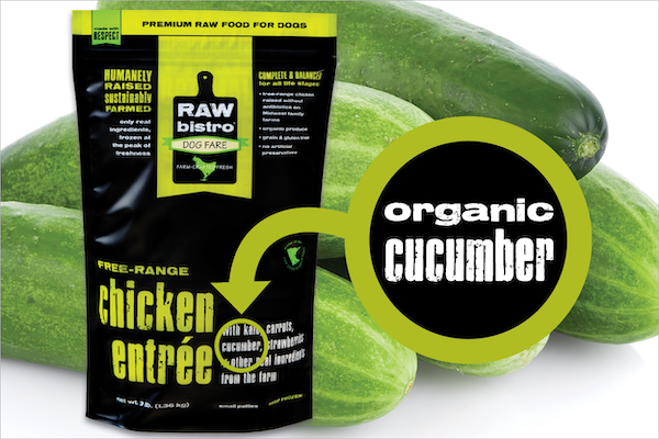 Cucumber for dogs