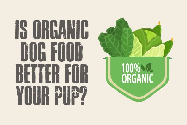 Is organic dog food better?