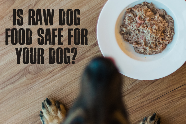 Is raw dog food safe
